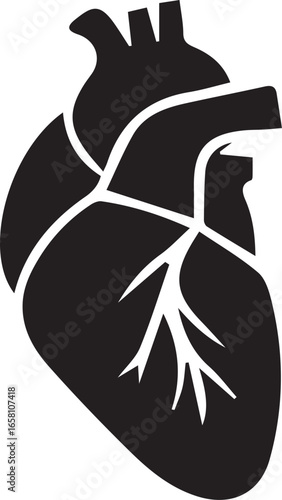 A black and white graphic illustration of a heart with veins and arteries depicted clearly and simply on transparent background silhouette