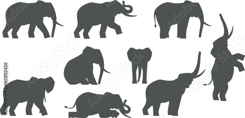 Elephant silhouette vector, wild animals silhouette set, safari animal shadow illustration, jungle wildlife outline, African animals clipart, elephant herd graphic, giraffe silhouette design, rhino sh