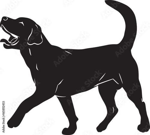 Black silhouette of a happy labrador retriever dog walking outdoors engaged silhouette