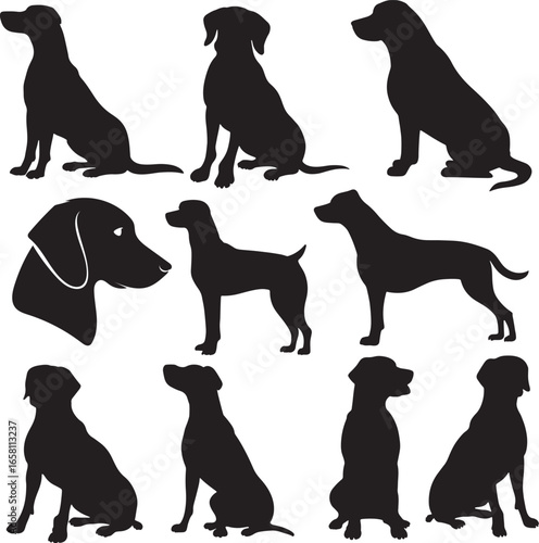 Collection of diverse dog silhouettes showing various poses and breeds captured in black and white silhouette