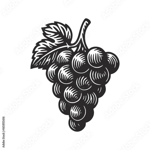 Illustration of grapes in black and white