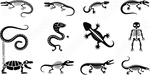 Collection of dinosaur and reptile skeletons in silhouette style