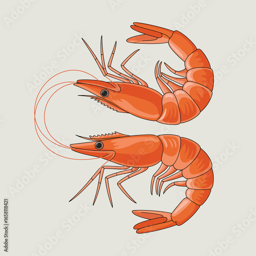 shrimp, seafood, prawn, illustration, cartoon, cooked, crustacean, marine, ocean, dinner, gourmet, tasty, shellfish, appetizer, drawing, protein, red, fresh, meal, sea, graphic, cuisine, delicious, aq