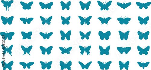 Butterfly silhouette vector, flying insect icon, butterfly isolated design, butterfly shape vector, insect silhouette clipart, butterfly nature symbol, butterfly art vector, butterfly collection silho
