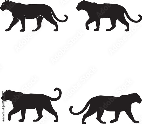 Wallpaper Mural "Set of 4 Big Cat Silhouettes | Black Panther or Tiger Walking Poses Vec Torontodigital.ca
