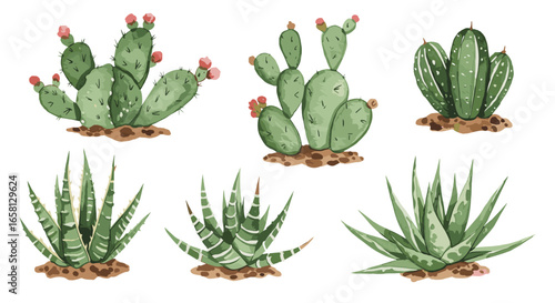 Watercolor cactus and succulent collection with prickly and leafy plants