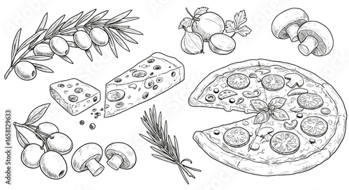 Hand drawn pizza and ingredients with cheese, olives, fig, and mushrooms