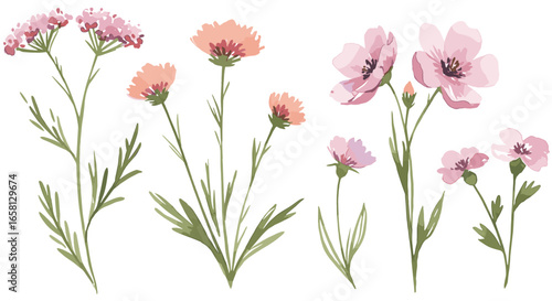 Elegant watercolor wildflowers with soft pastel petals and green stems