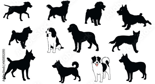 Silhouette and outline collection of dog breeds in various poses