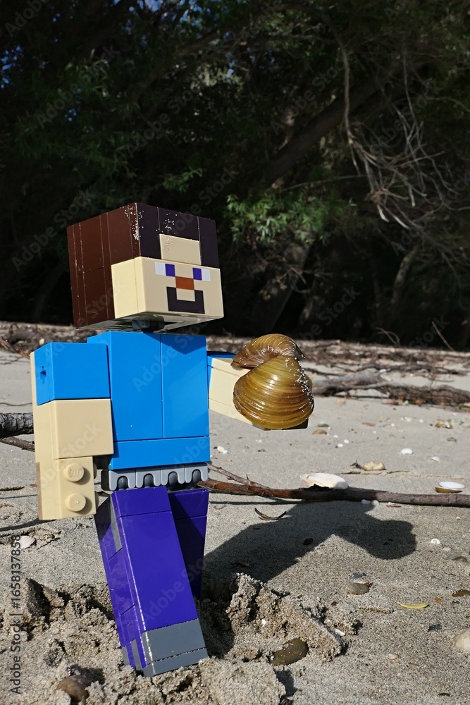 Fototapeta premium LEGO Minecraft action figure of Steve examining empty clam shell of invasive Asian Clam species, latin name Corbicula Fulminea, found of sandy bank of Danube river, southern Slovakia.