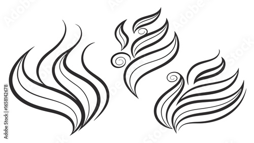 Elegant black and white abstract swirling floral and flame like decorative elements with delicate curls and flowing lines