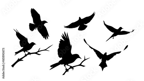 A black image with no discernible content