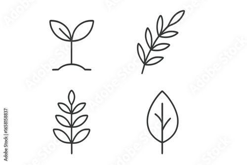 Set of 4 botanical line icons. Minimalist plant and leaf symbols. Sprout, branch, foliage vector illustration. Simple nature, eco, organic outline graphic elements for design.