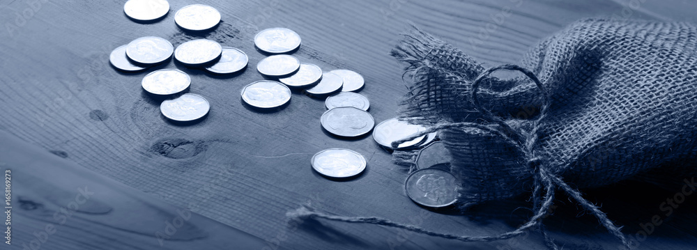 Fotografie Silver coins in the bag