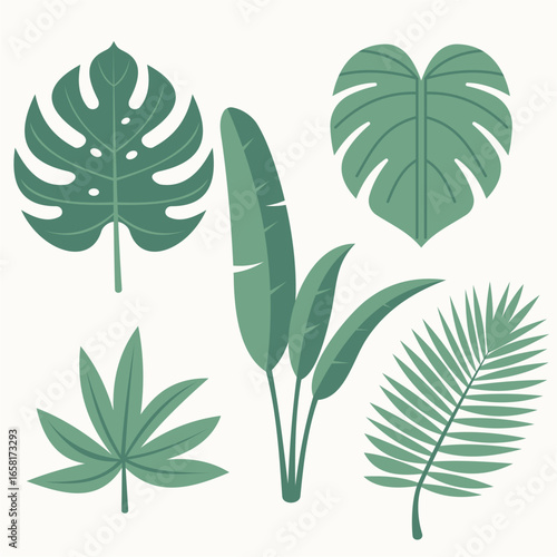 Tropical Foliage Collection: A selection of meticulously illustrated tropical leaves, offering a diverse array of shapes and forms to enhance any design project.