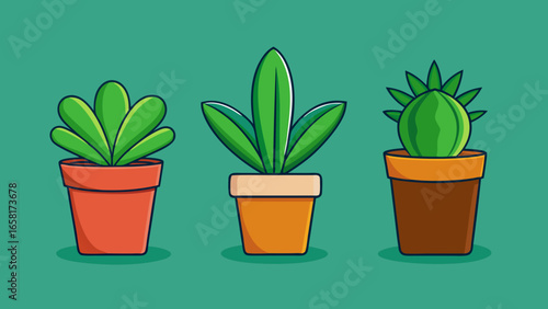Three Potted Plants Illustration. three different cartoon-style plants in different colored pots against a soft green  background vector illustration.