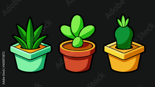 Three Potted Plants Illustration. three different cartoon-style plants in different colored pots against a black background vector illustration.