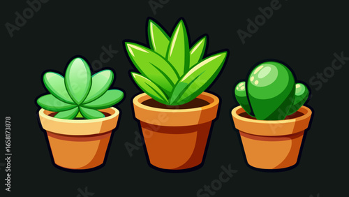 Three Potted Plants Illustration. three different cartoon-style plants in different colored pots against a black background vector illustration.