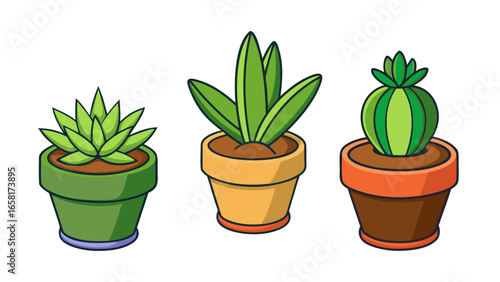 Three Potted Plants Illustration. three different cartoon-style plants in different colored pots against a white background vector illustration.