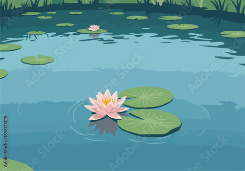 Water Lily blooms on pond with lily pads near forest in background for Zen art
