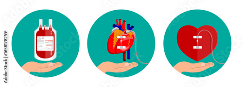 Human hand holding a blood bag, anatomical heart, and stylized heart. Blood donation and organ transplant concept for medical awareness.