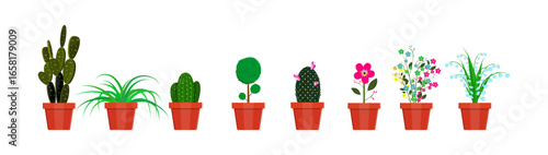 Set of various indoor plants in red pots. Collection of potted flowers for home decoration and gardening.