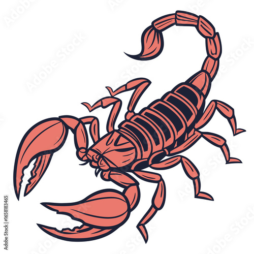 Scorpion Illustration