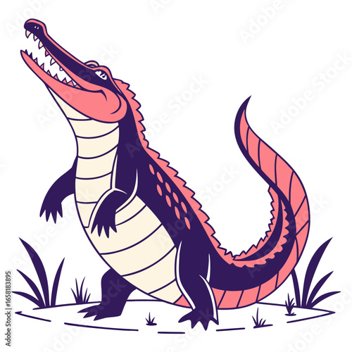Alligator Illustration on White Background