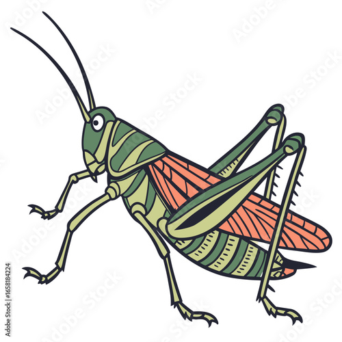 Green grasshopper illustration