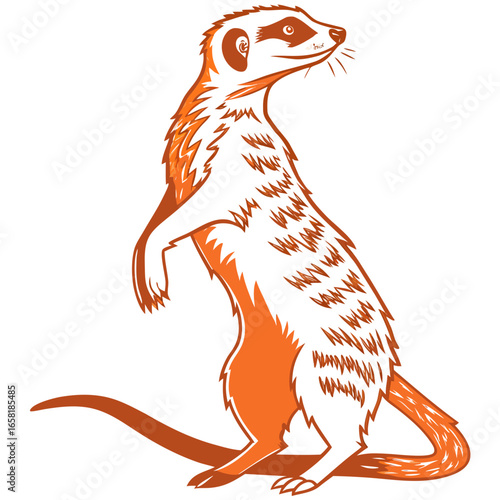 Alert Meerkat Standing Tall Illustration