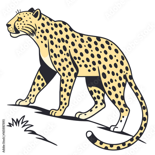 Cheetah Illustration on White Background