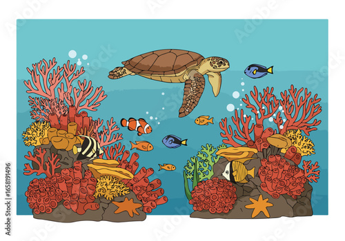 Turtle swims past reef with fish; could be used for education about marine life
