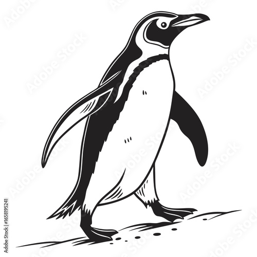 Walking penguin vector illustration