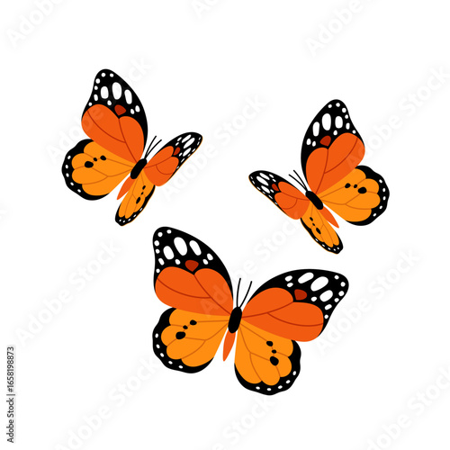 Red orange tropical butterfly flying, flat icon isolated on white background. Vector illustration. Jungle exotic cartoon Swallowtail, African Monarch, Danaus chrysippus, Plain tiger cartoon insects