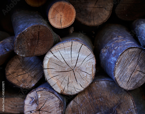 Stack of Cut Firewood Logs with Detailed Cracks and Wood Texture