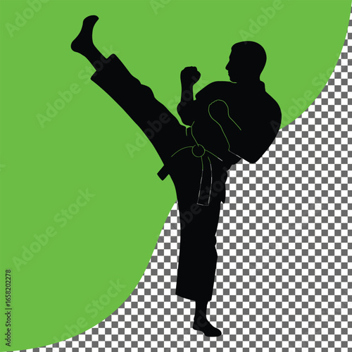 Martial Arts Karate Pose Illustration – Isolated from the Background and Customable Design for Logos and Prints