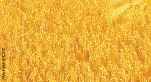 Golden wheat field background with light rays; suitable for texture, pattern or wallpaper