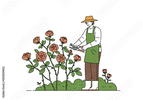Gardener prunes roses outside; clear backdrop for ads, articles, or design