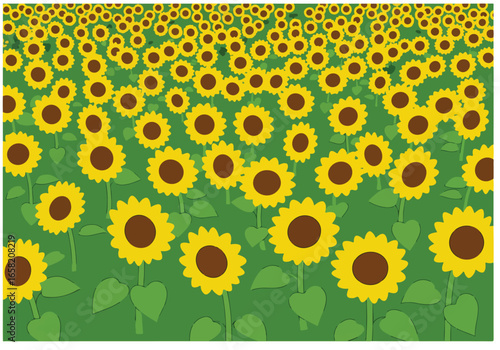 Many sunflowers bloom on a green field, creating a background of yellow and brown