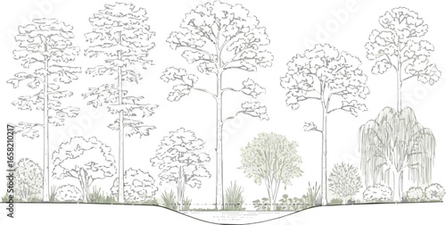 Create a Architectural Drawings, Minimal style cad tree line drawing, Side view, set of section wetland forest outline for landscape design drawing in seperate element vector art white background.