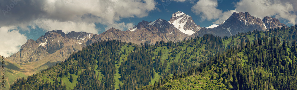 Obraz premium Breathtaking snow capped mountain peak rising above lush green slopes and dense coniferous forest in the Tian-Shan mountains