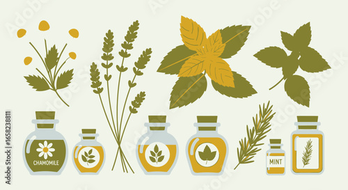 Collection of illustrated herbs and essential oil bottles.