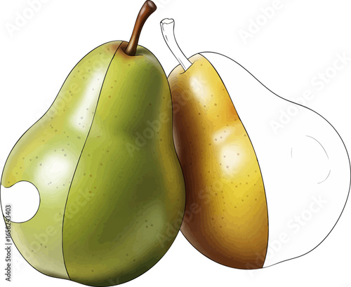 Conceptual Art Sketch Style A Still Life of Two Pears