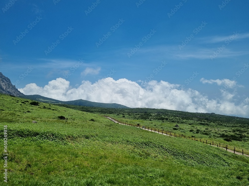 Fototapeta premium JEJU island KOREA 한라산221