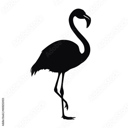 Pink flamingo silhouette isolated on white, a tropical bird vector illustration