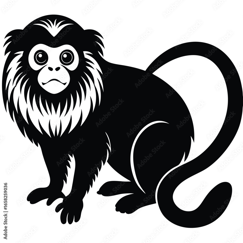 Obraz premium monkey vector animal