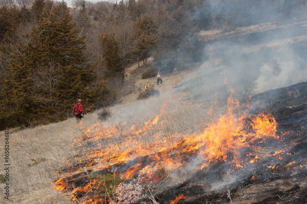 Fototapeta premium Native prairie fire taken in southern MN