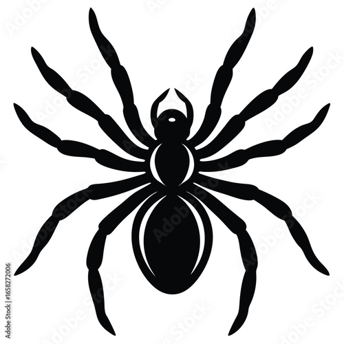 spaider vecror animal