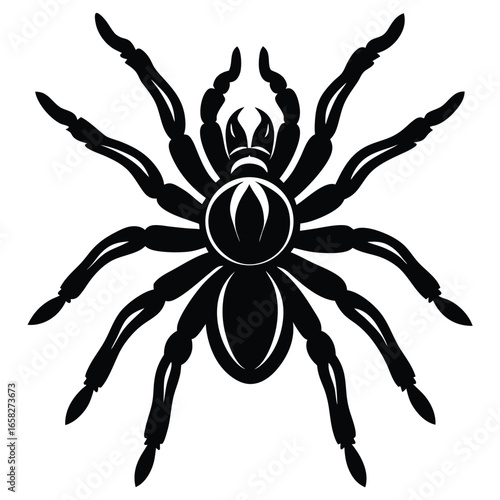 spaider vecror animal