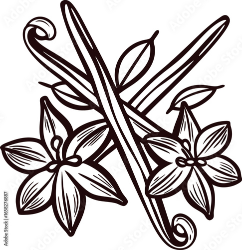 Hand drawn illustration of vanilla beans and flowers isolated on white background botanical vintage sketch